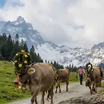 Ferienhaeuser Tschofen Garfrescha Дом отдыха