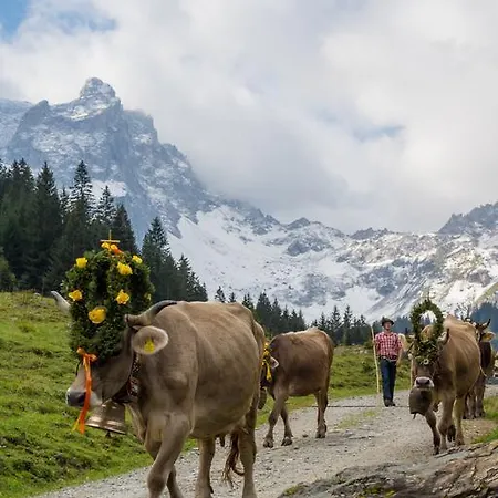 Ferienhaeuser Tschofen Garfrescha Feriehus