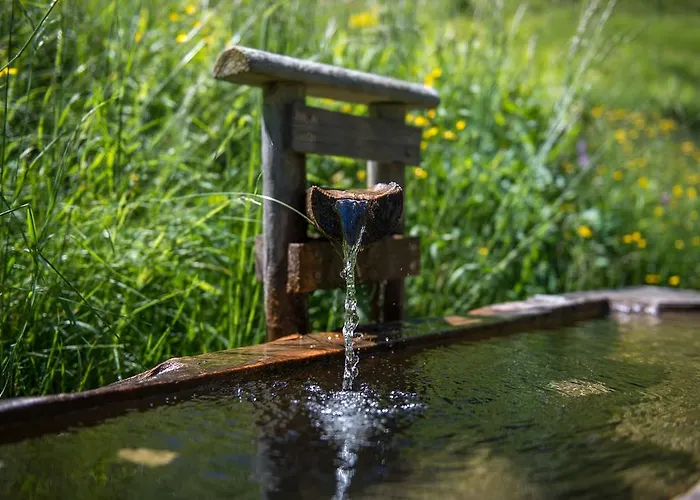 Ferienhaeuser Tschofen Garfrescha 度假居 *